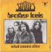 STORIES Brother Louie / What Comes After (Buddah 610.116) Holland 1973 PS 45