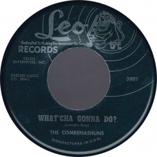 COMBENASHUNS What'cha Gonna Do / Hey! Uncle Sam (Leo 3802) USA 1966 45