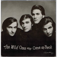 WILD ONES Come On Back (vocal/instr.) (Sears 2181) USA 1966 PS 45 
