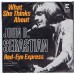 JOHN B.SEBASTIAN What She Thinks About / Red-Eye Express (Reprise 0918) Germany 1970 PS 45 (Lovin' Spoonful)