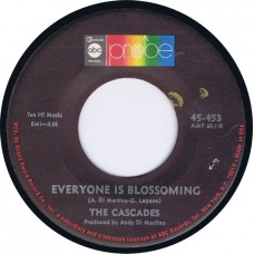 CASCADES Two Sided Man / Everyone is Blossoming (ABC Probe 45-453) USA 1969 cs 45