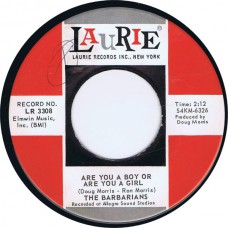 BARBARIANS Are You A Boy Or Are You A Girl / Take It Or Leave It (Laurie 3308) USA 1965 45