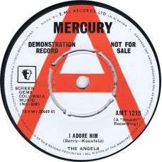 ANGELS I Adore Him / Thank You And Goodnight (Mercury AMT 1215) UK 1963 demo 45
