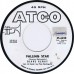DIANE RENAY Little White Lies / Falling Star (Atco 6240) USA 1962 white label promo 45