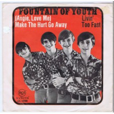 FOUNTAIN OF YOUTH Make The Hurt Go Away (RCA 66-1020) Germany 1968 PS 45