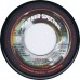 RONNIE SPECTOR Paradise (both sides same track (Warner-Spector SPS 0409) USA 1976 45 (Phil Spector | Jack Nitzsche)