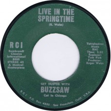 BUZZSAW Live In The Springtime / I Can Make you happy (Rembrandt RCI 8000) USA 1972 45 (Lemon Drops)