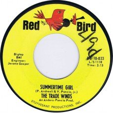 TRADE WINDS Summertime Girl / The Party starts at Nine (Red Bird RB 10-033) USA 1965 45