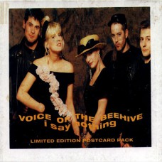 VOICE OF THE BEEHIVE I Say Nothing UK Postcard Pack 45