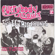 ELECTRIC PRUNES Everybody Knows You're Not In Love / You've Never Had It Better (Reprise RV 20149) France 1968 PS 45