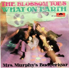BLOSSOM TOES What On Earth / Mrs Murphy's Budgerigar (Polydor 59134) Germany 1967 PS 45