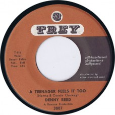 DENNY REED A Teenager Feels It Too / Hot Water (Trey 3007) USA 1960 45