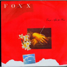 JOHN FOXX Europe - After The Rain (Virgin VS 393) UK 1981 PS 45