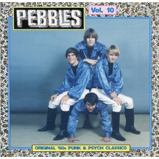 Various PEBBLES Vol.10 (AIP CD5027) USA 1966/1968 CD