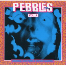 Various PEBBLES VOL.2 (AIP Records ‎– AIP CD 5019) USA 1992 CD +bonus