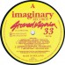 Various STONED AGAIN - A Tribute To The Stones (Imaginary ILLUSION 006) Holland 1990 LP (Rolling Stones)