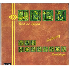 THEM Bad Or Good (Decca SD 3008/1-2) Germany 1973 compilation 2LP-set