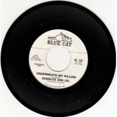 BUBBLES AND CO. Underneath My Pillow (Blue Cat) USA promo 45