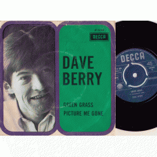 DAVE BERRY Green Grass (Decca) Holland / PS / 45