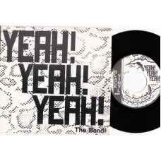 YEAH! YEAH! YEAH! Hey You! (Black Vinyl) USA 1988 PS 45
